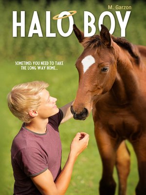 cover image of Halo Boy